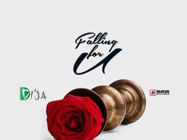 Falling for You (feat. Patoranking) - Single by Di'Ja on Apple Music